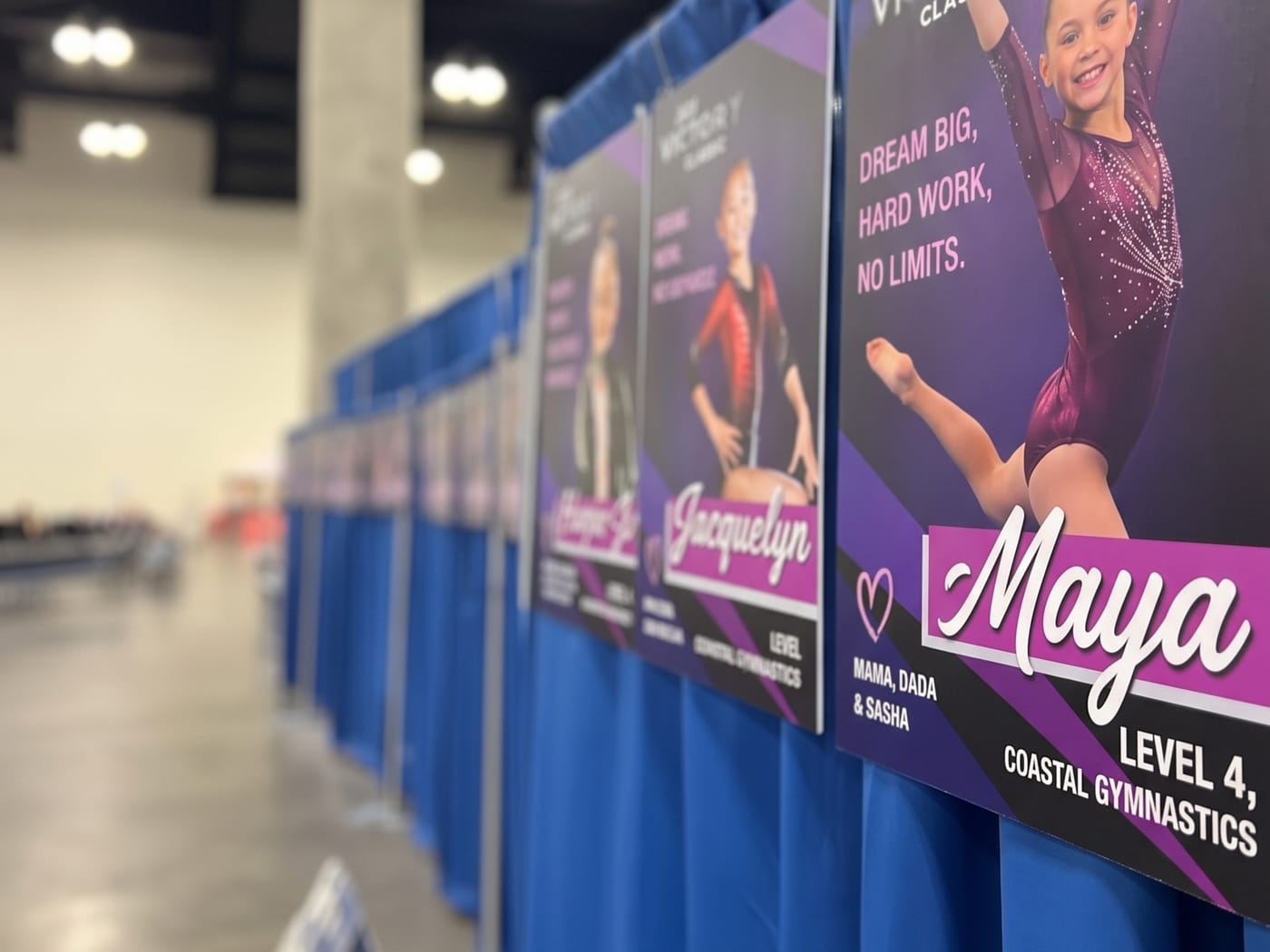 FanBoards hanging along a blue draped barrier at a gymnastics venue.